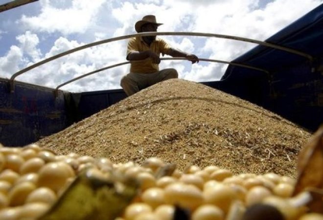 Caminhão carregando grãos de soja no Mato Grosso