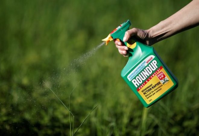 Herbicida Roundup da Monsanto, que contem glifosato, é pulverizado em plantação