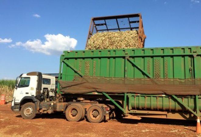 Cana é carregada em caminhão para ser levada a usina de açúcar em Bebedouro