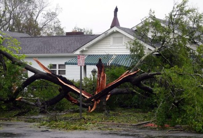 Queda de árvore em Wilmington, na Carolina do Norte