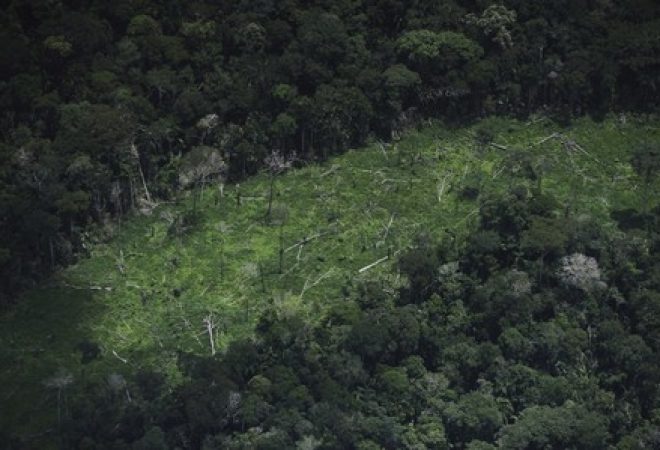 Área desmatada em terra indígena da Amazônia