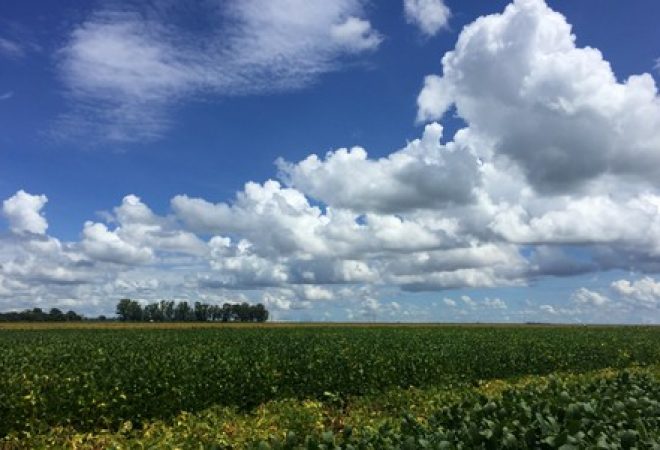 Plantação de soja na Bahia