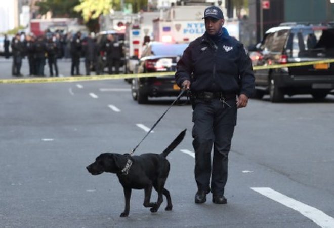Policial conduz cão farejador em Nova York