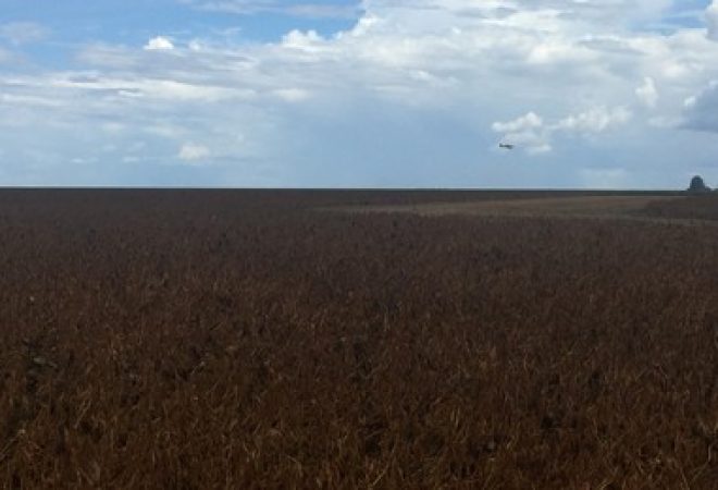 Plantação de soja na Bahia
