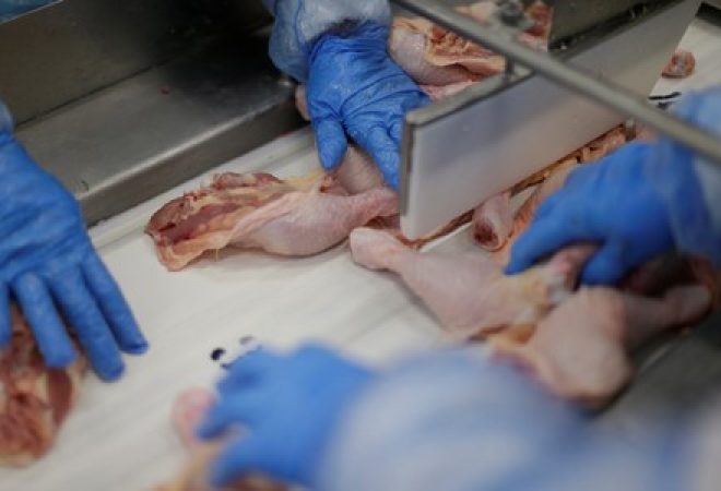 Funcionários trabalham em frigorífico em Lapa, no Paraná