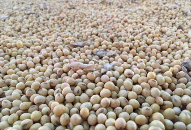 Estoques de soja em Rio Verde, Goiás