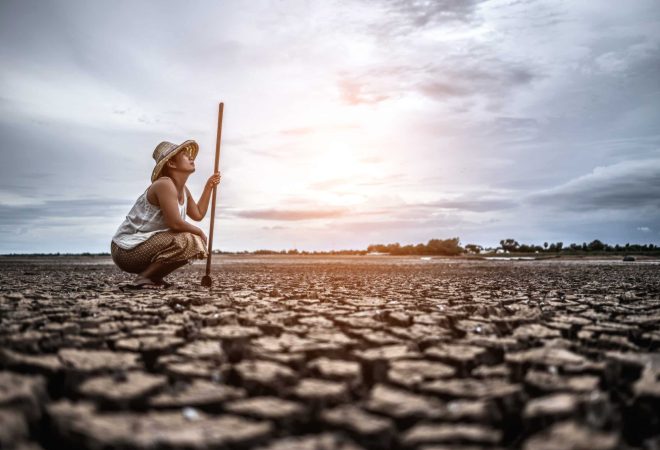 The woman sat his hand and caught a Siem on dry soil and looked at the sky.
