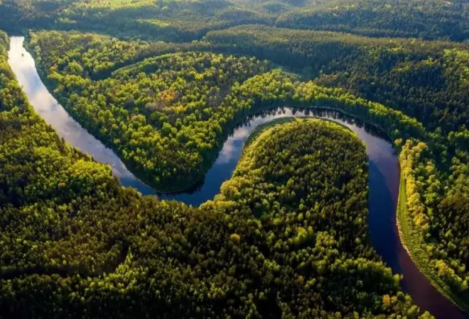 viagem-para-amazonia-18