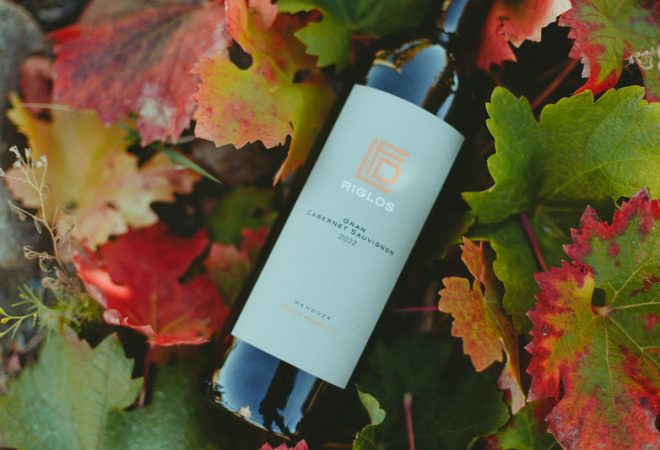 vinho Huarpe Riglos