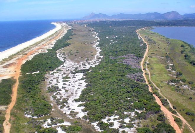 Rio de Janeiro (RJ) -  Restinga de Maricá - STJ suspende obras e licenças ambientais de resort em restinga de Maricá. Decisão aponta risco de danos irreversíveis à fauna e à flora locais. Foto: Désirée Freire